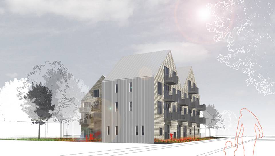 gland_perspective-rue_webeq