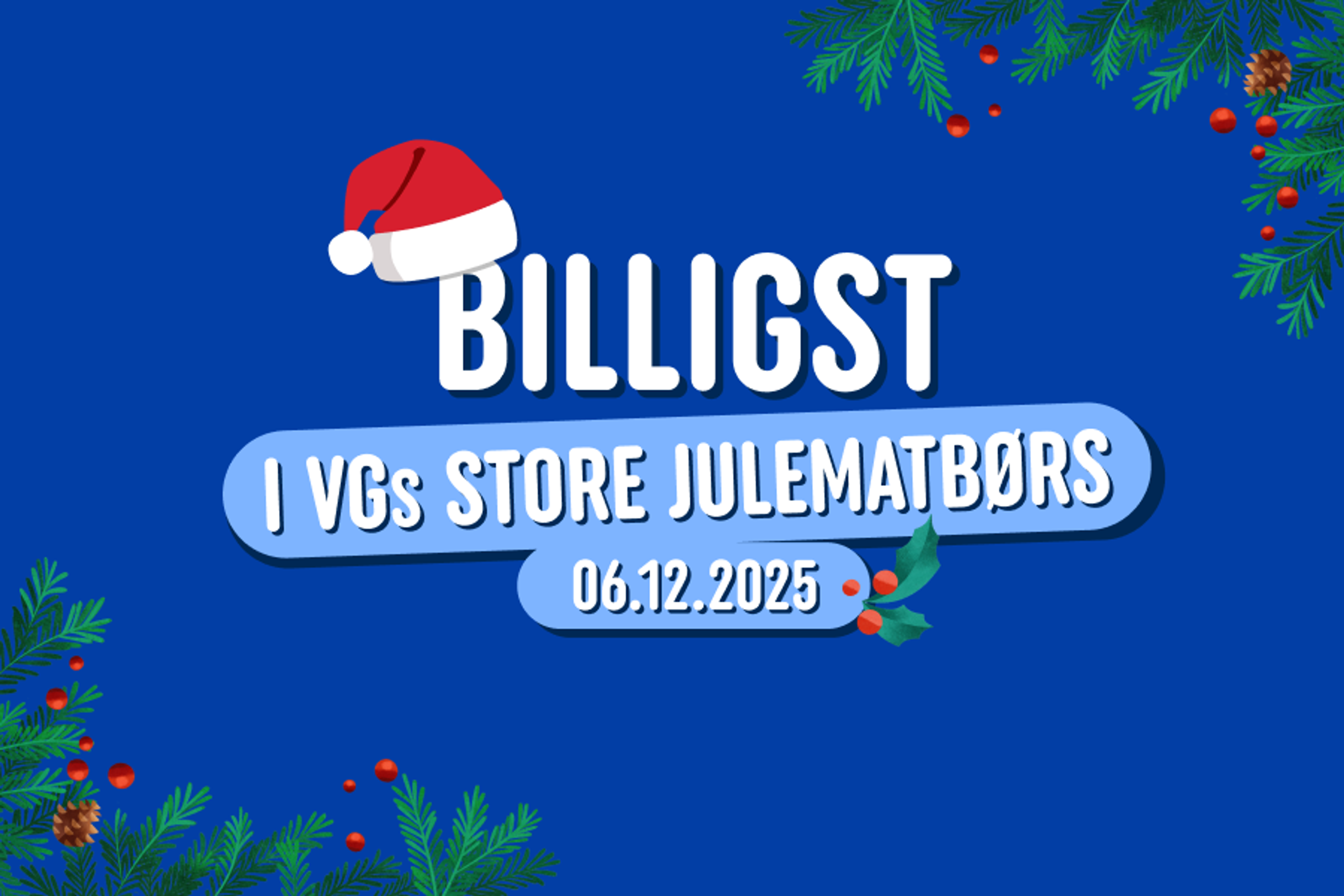 Billigst VGS matbørs