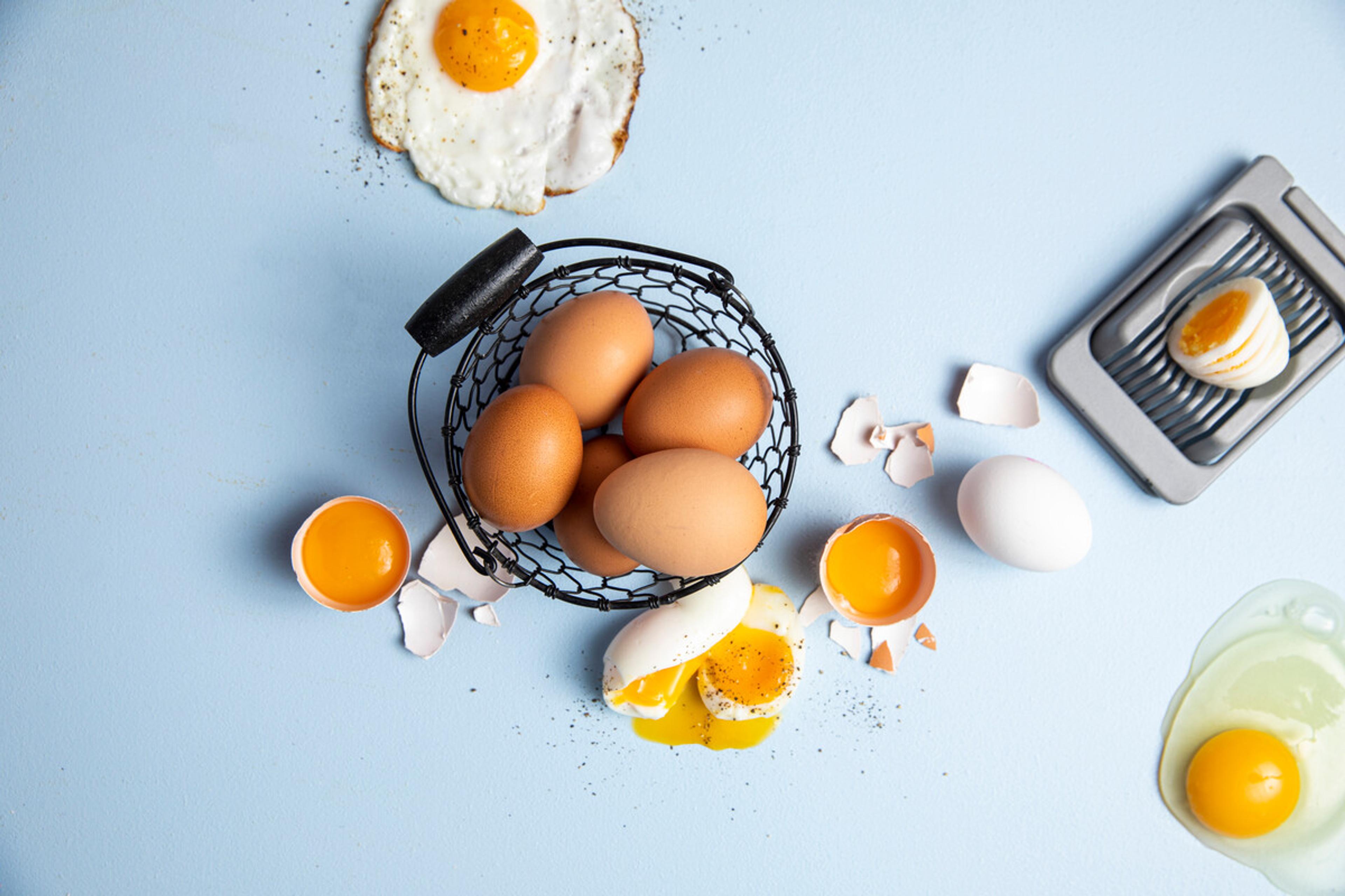 bilde av forskjellige egg typer
