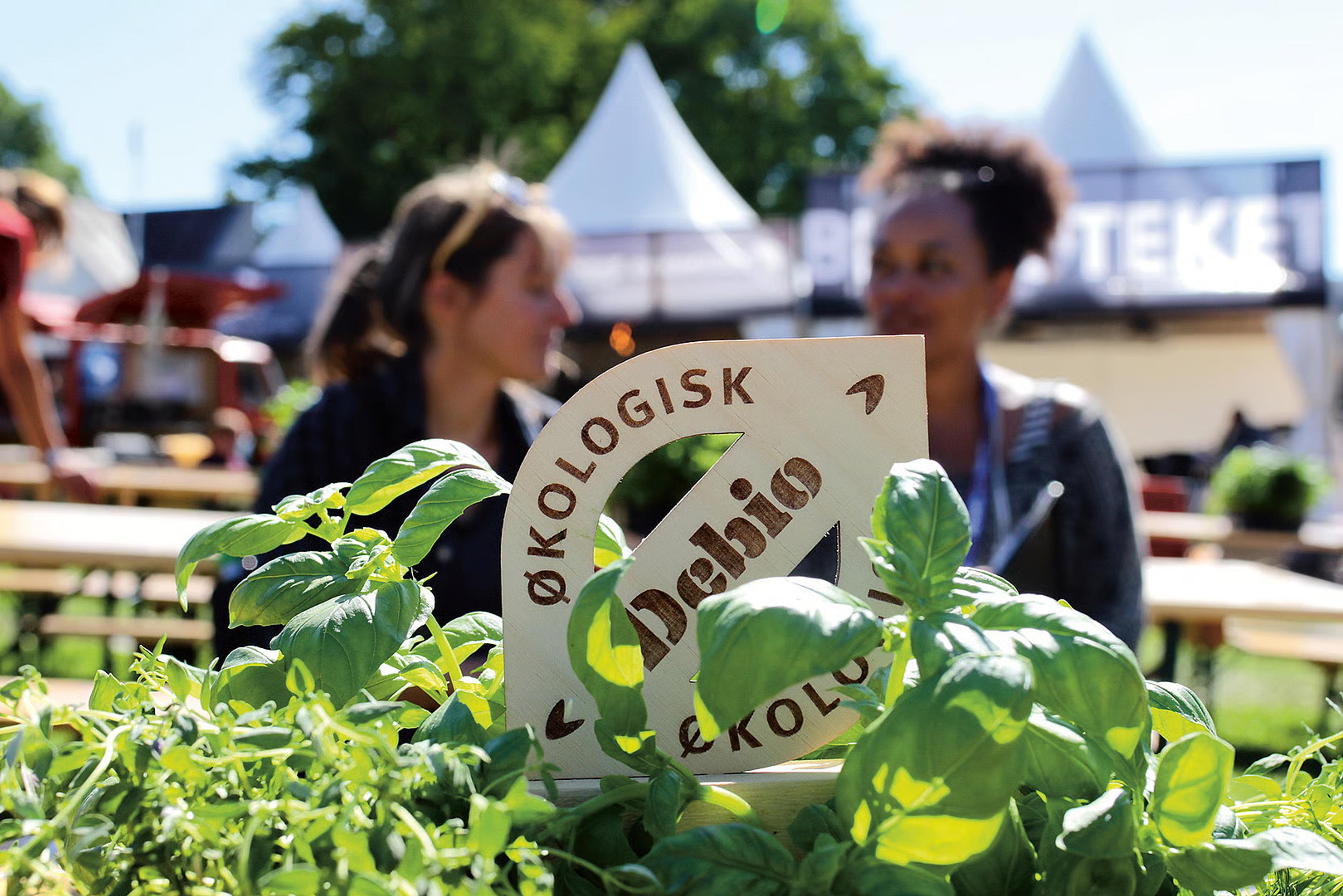 Debio-skilt med teksten «Økologisk» blant basilikumplanter, med to personer i bakgrunnen.