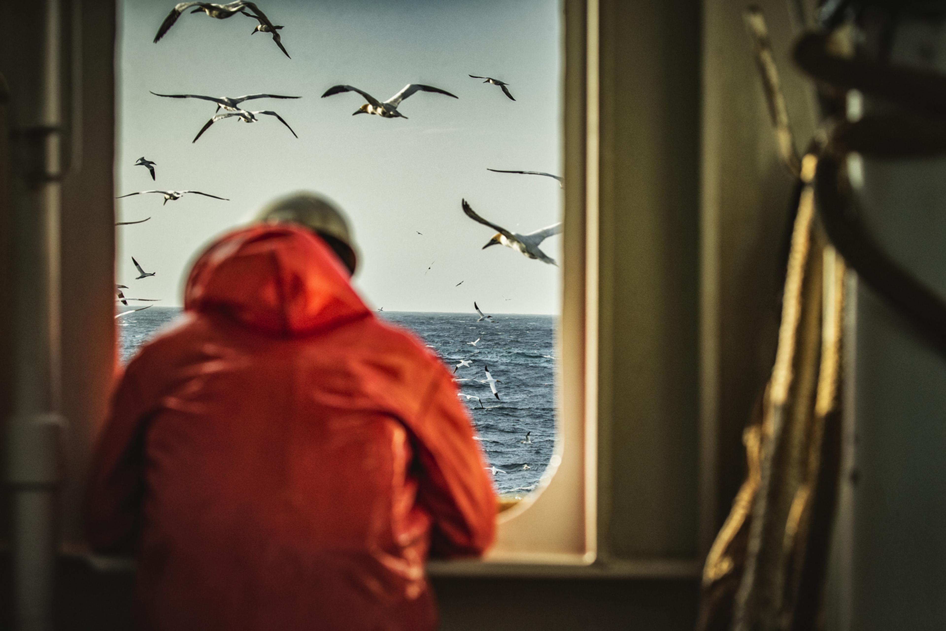 Mann på fiske båt som ser ut over havet med en mengde måker i lufta