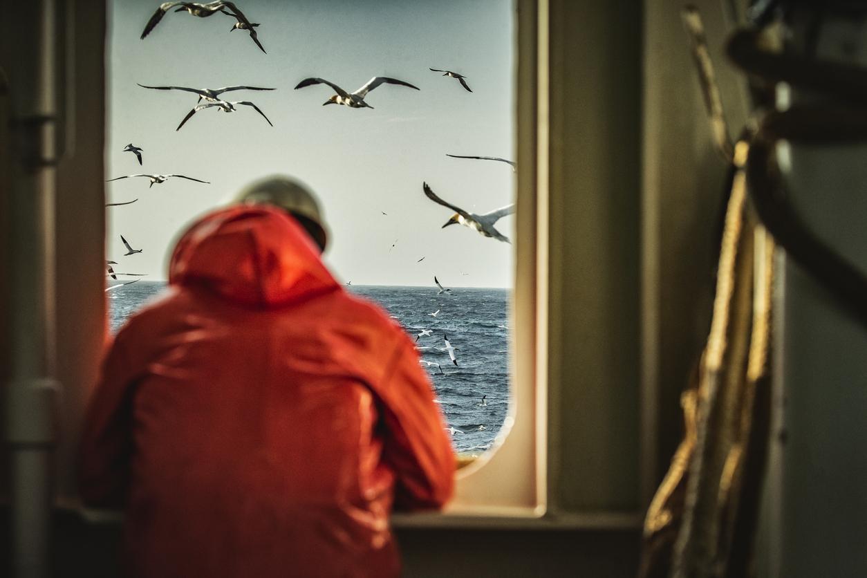 Mann på fiske båt som ser ut over havet med en mengde måker i lufta