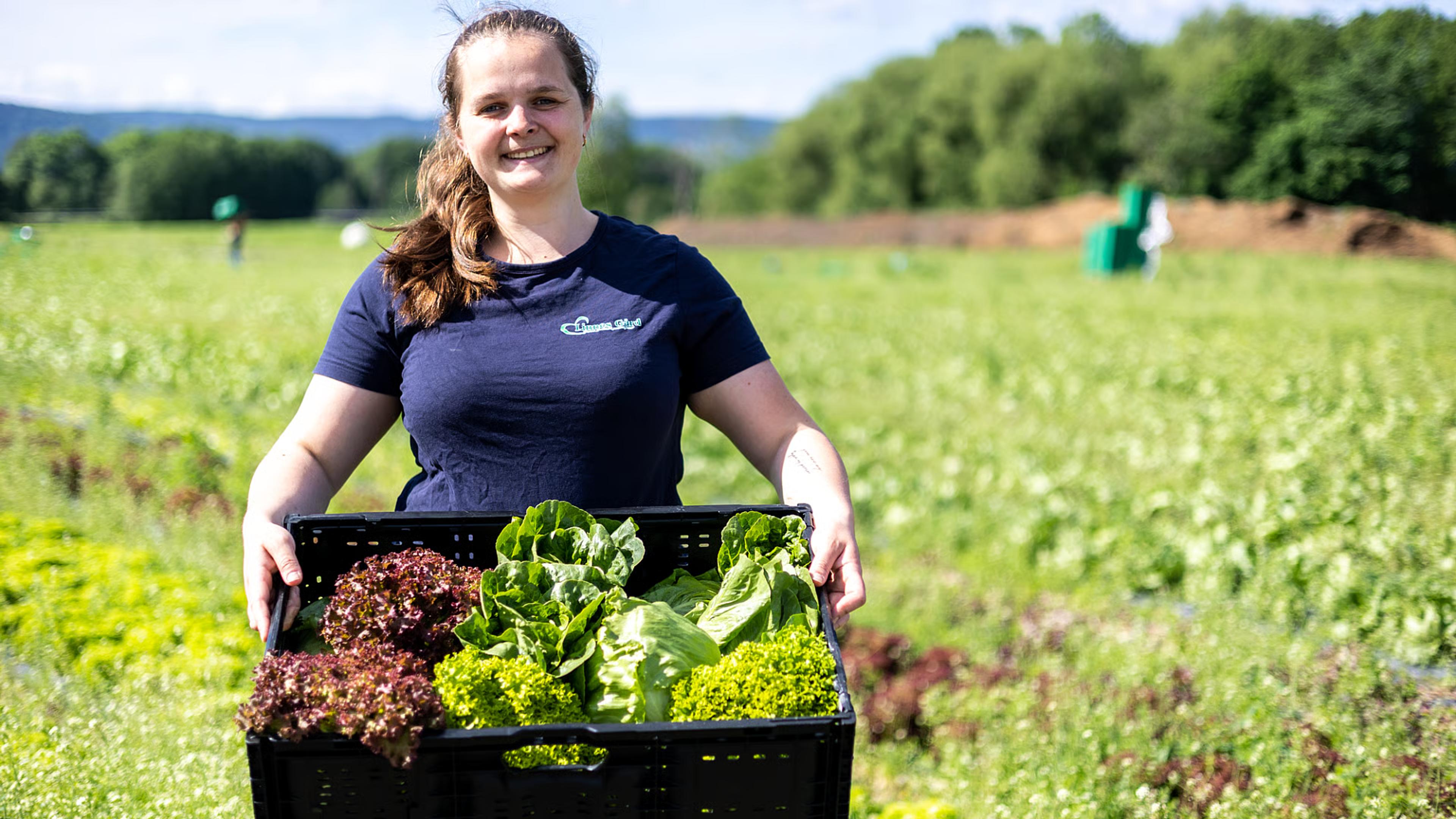 Dame som holder frem en kurv med salat