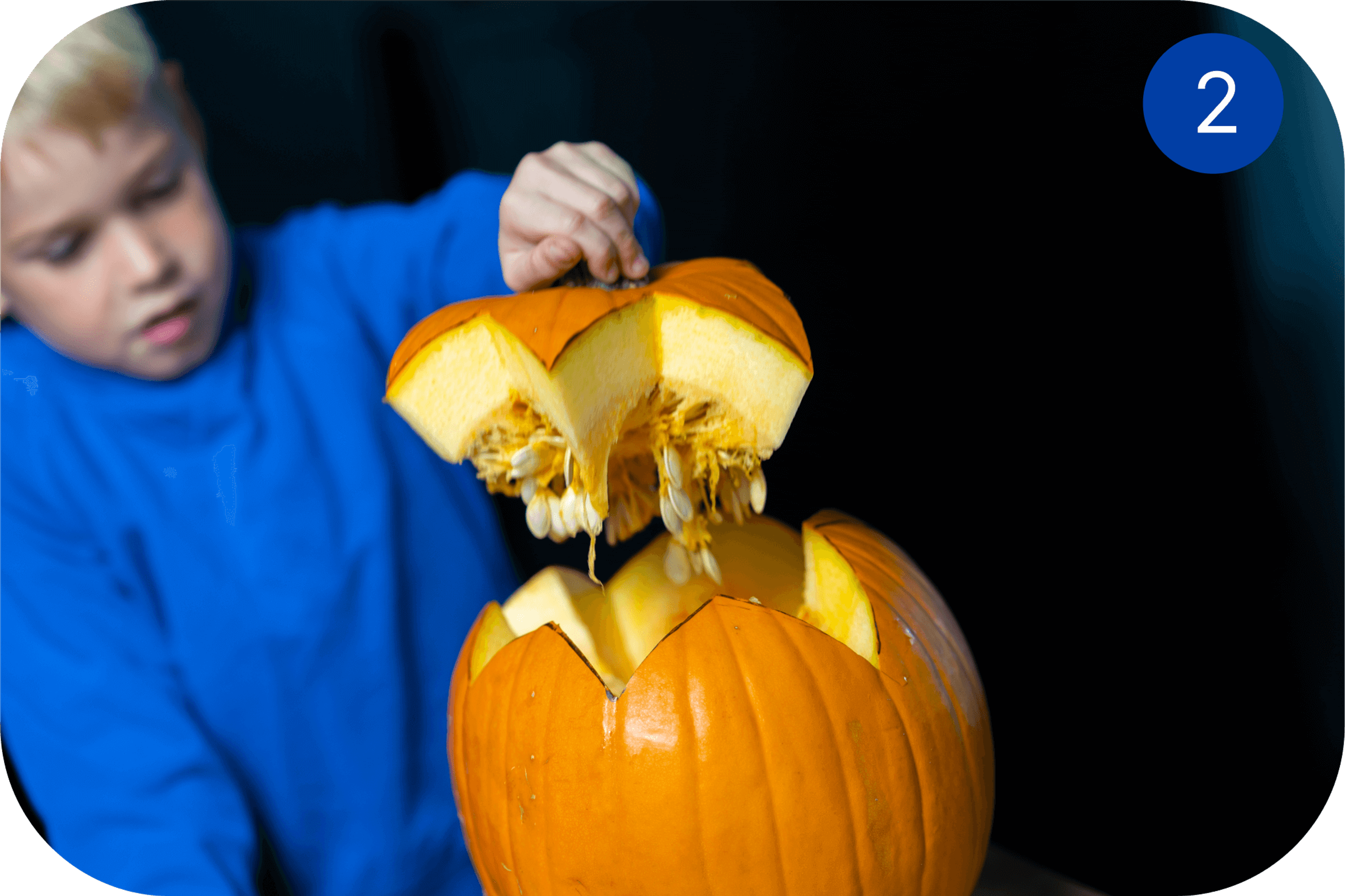 Person løfter av toppen på et gresskar for å gjøre det klart til utskjæring til Halloween.