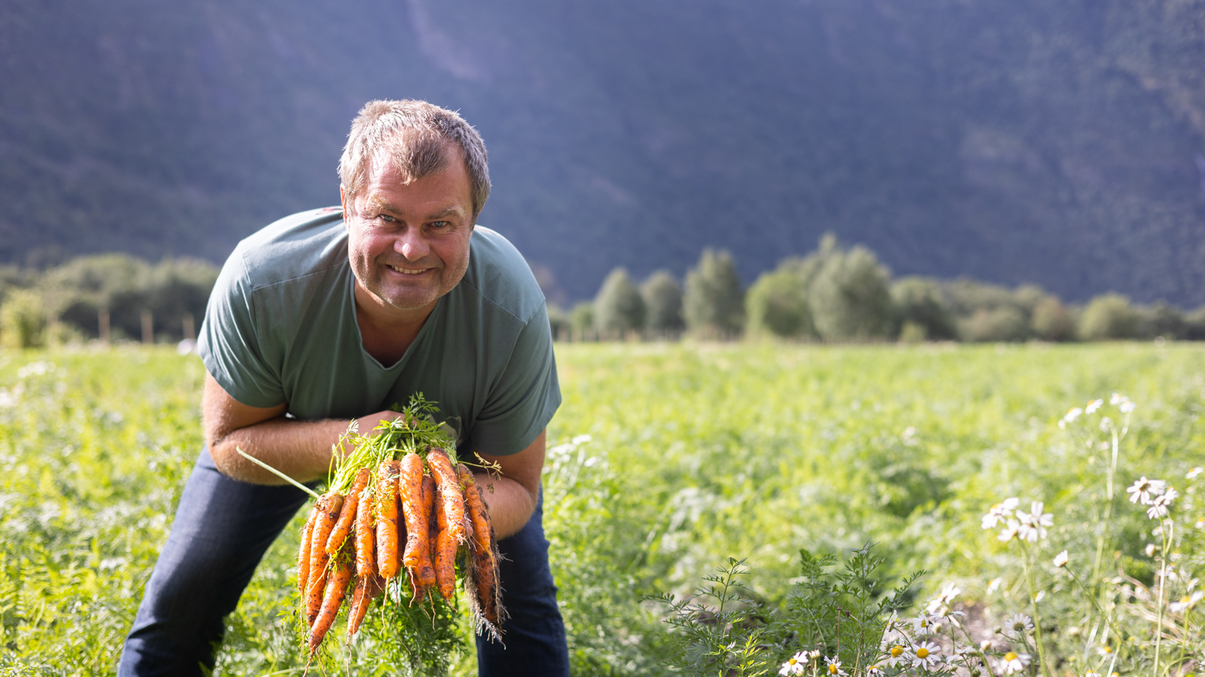 per hjermann gulrot lærdal
