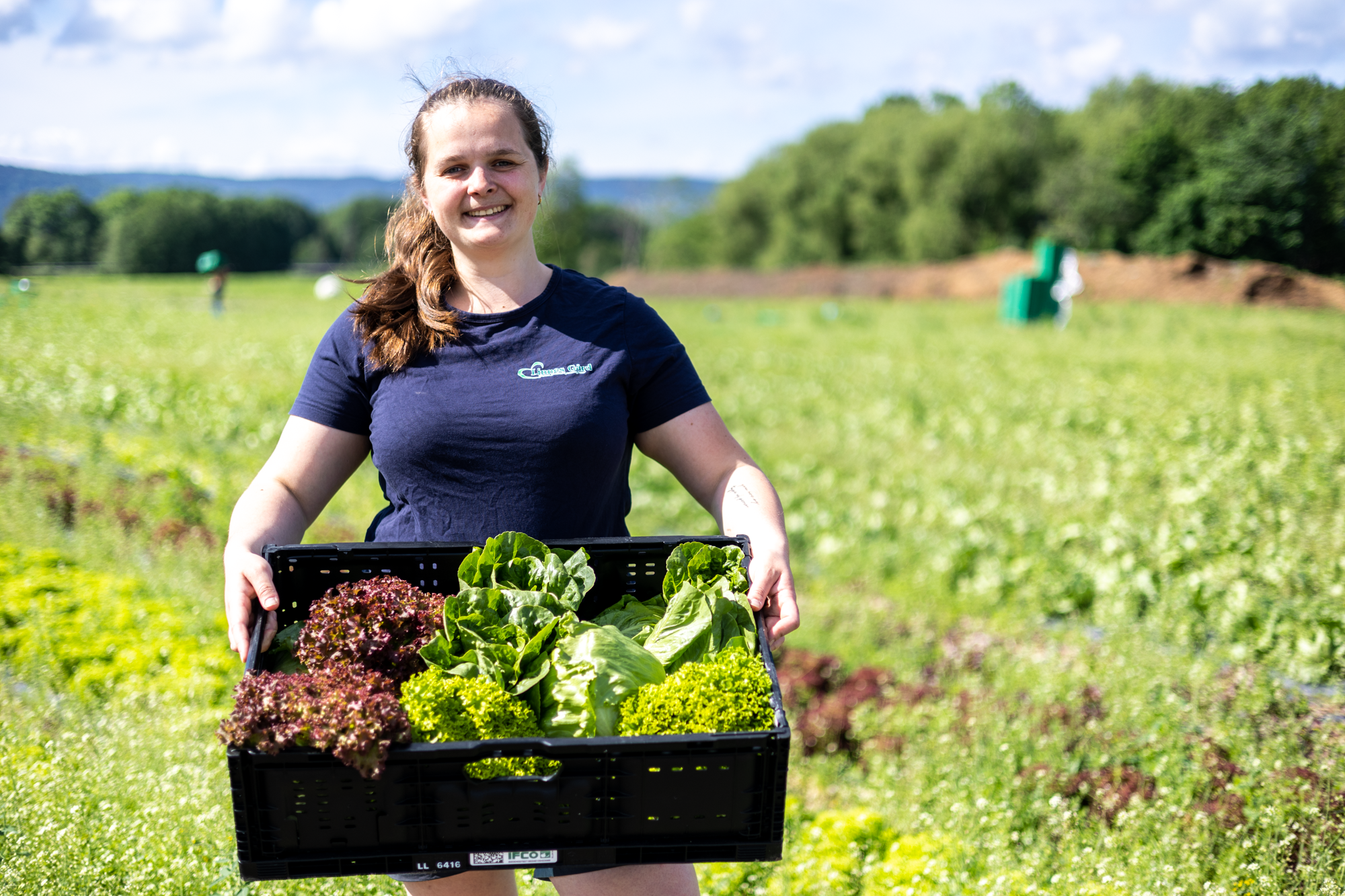 anne line fra Linnes gård står med en kasse salat foran seg