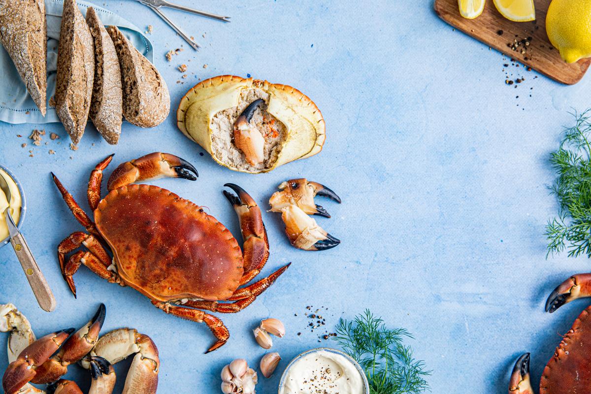 Krabbe servert med brød, sitron, hvitløk og krabbeklør på et lyst underlag.