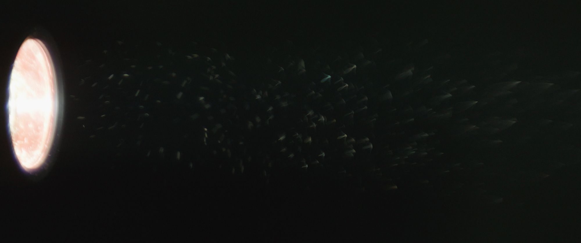 Unsettling Dust