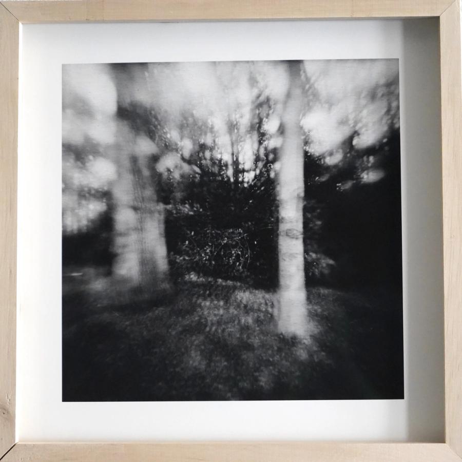 Unsettling Landscapes (Barite)