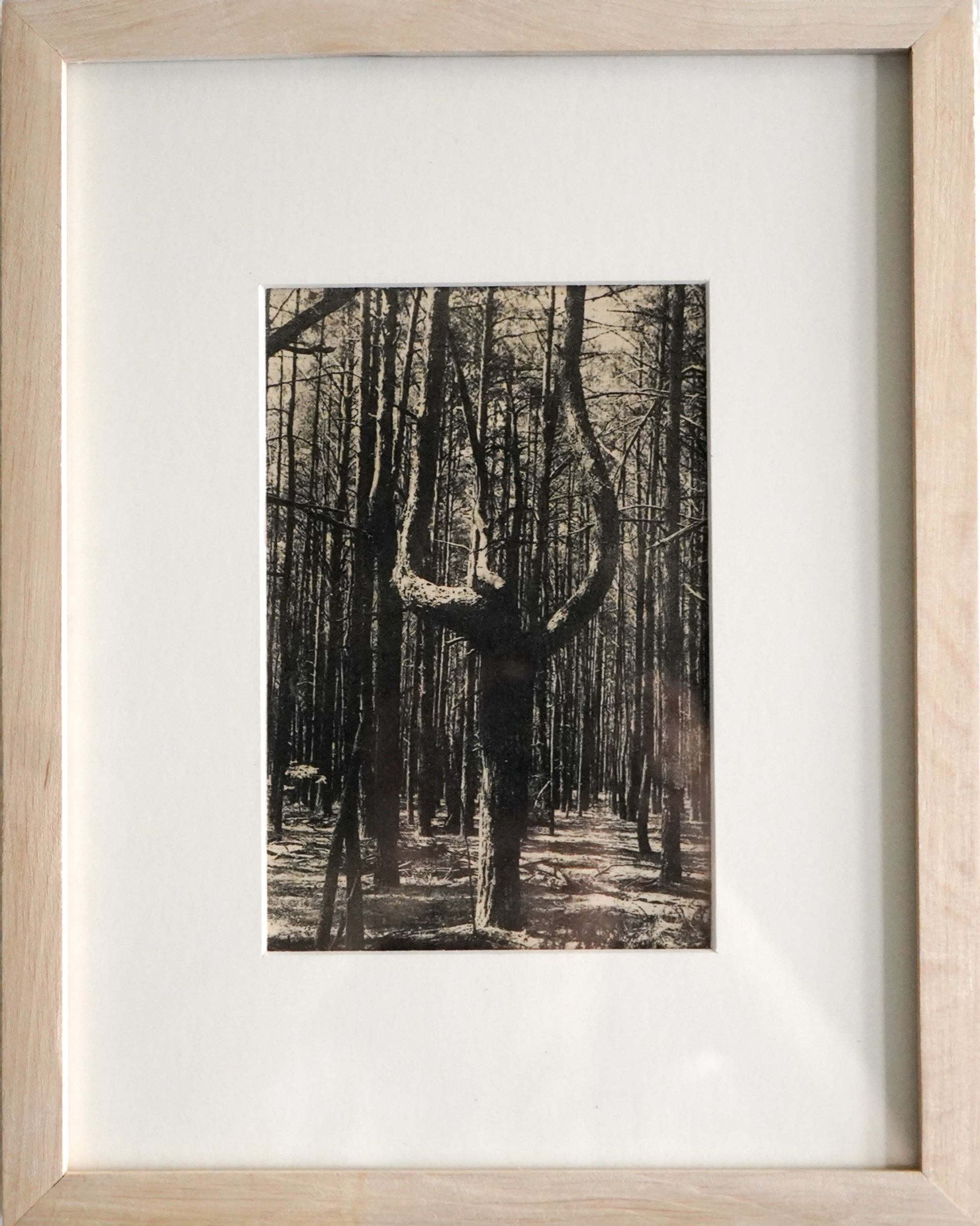 Unsettling Landscapes (Toyobo & Chine Colle)