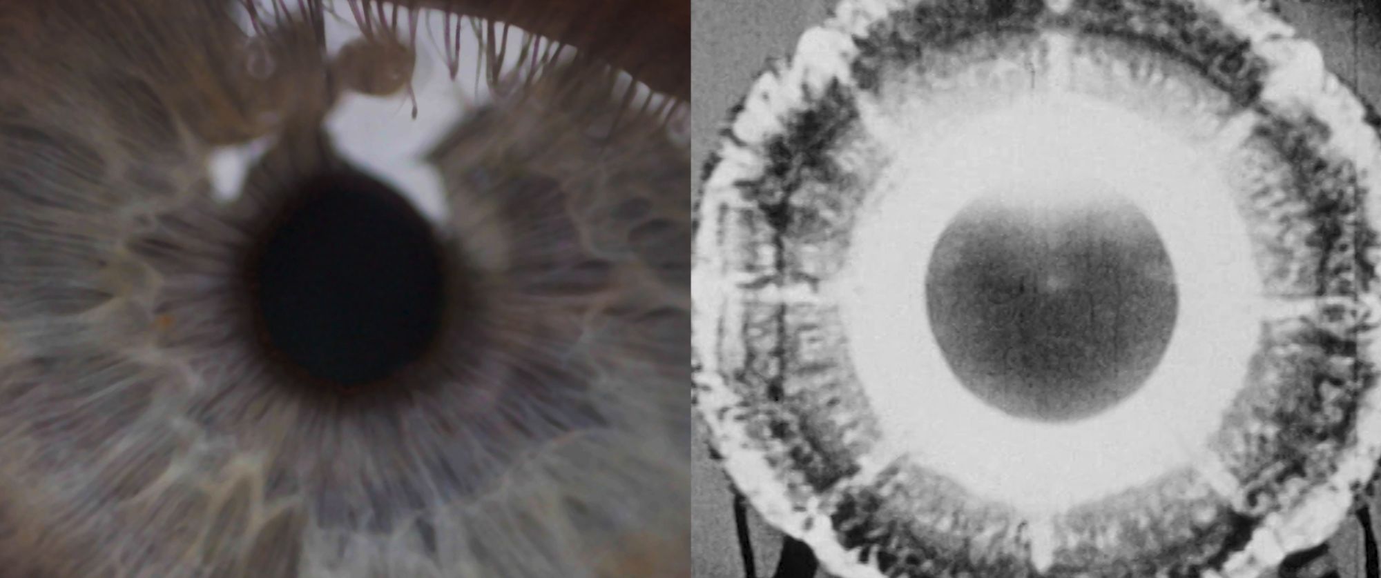 Unsettling Dust