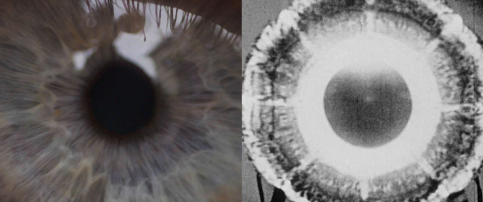 Unsettling Dust