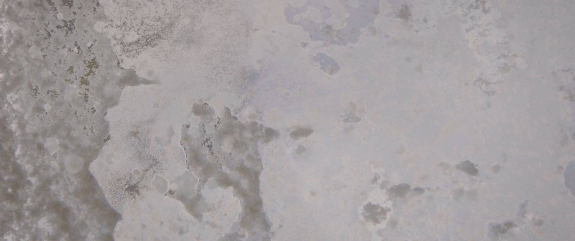 Unsettling Dust