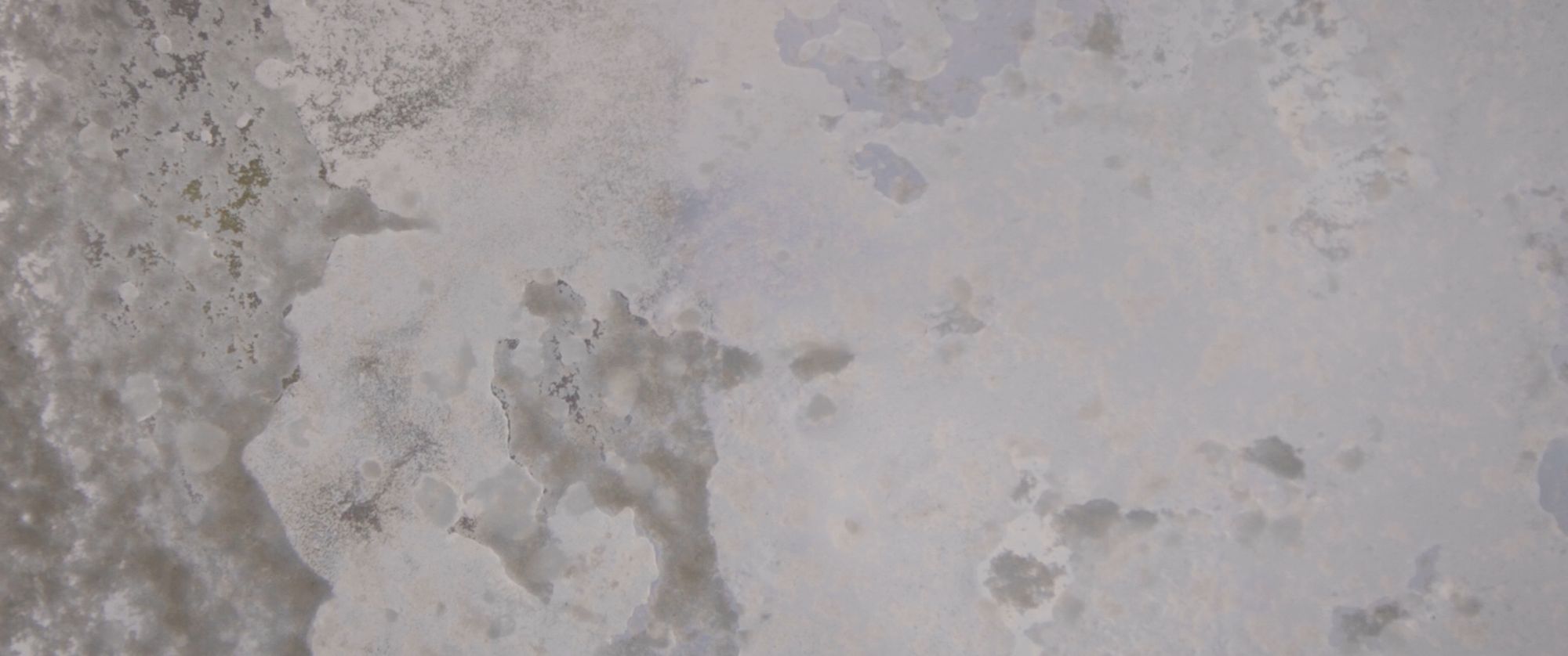 Unsettling Dust