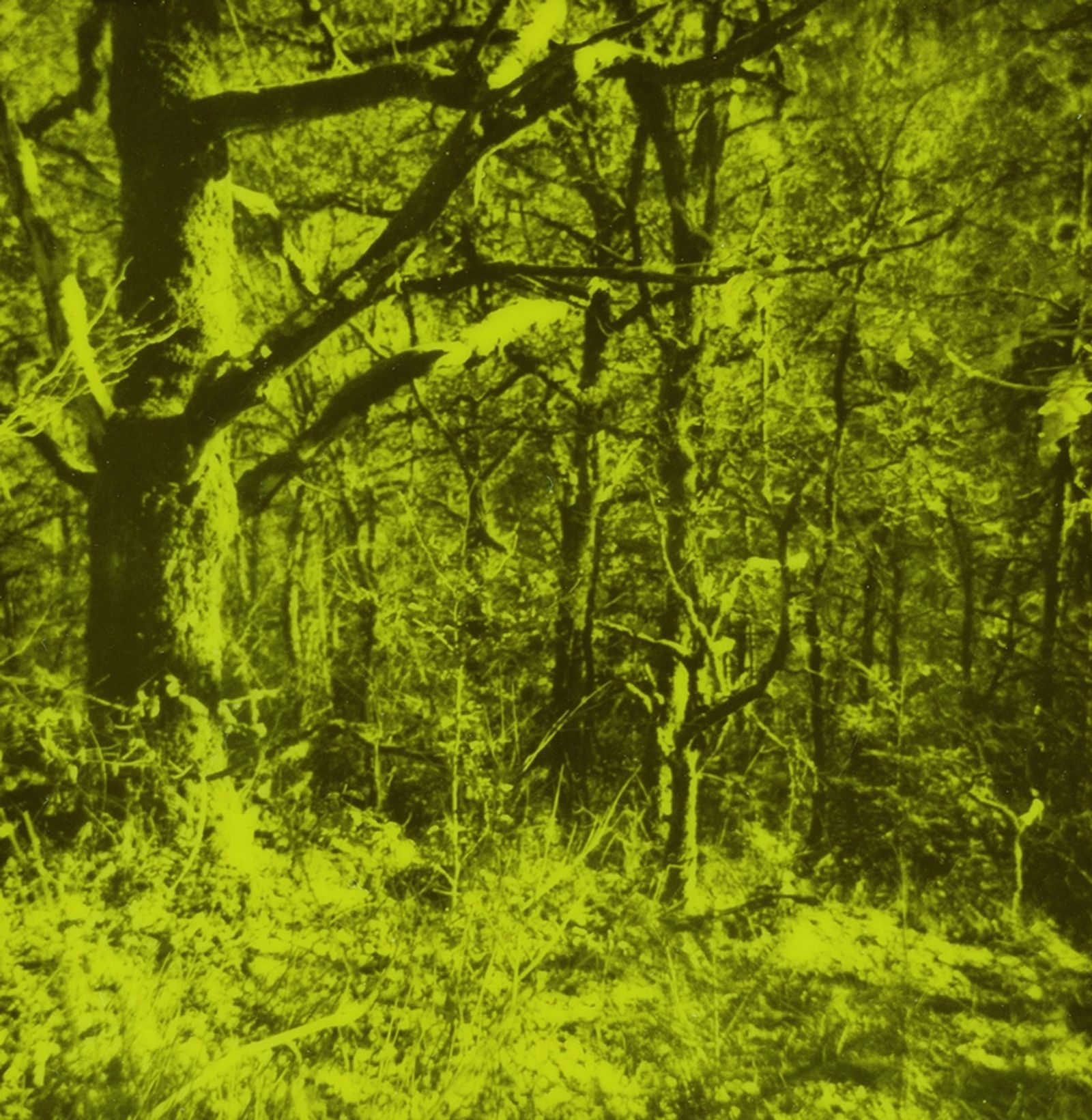 Unsettling Landscapes (Polaroid)
