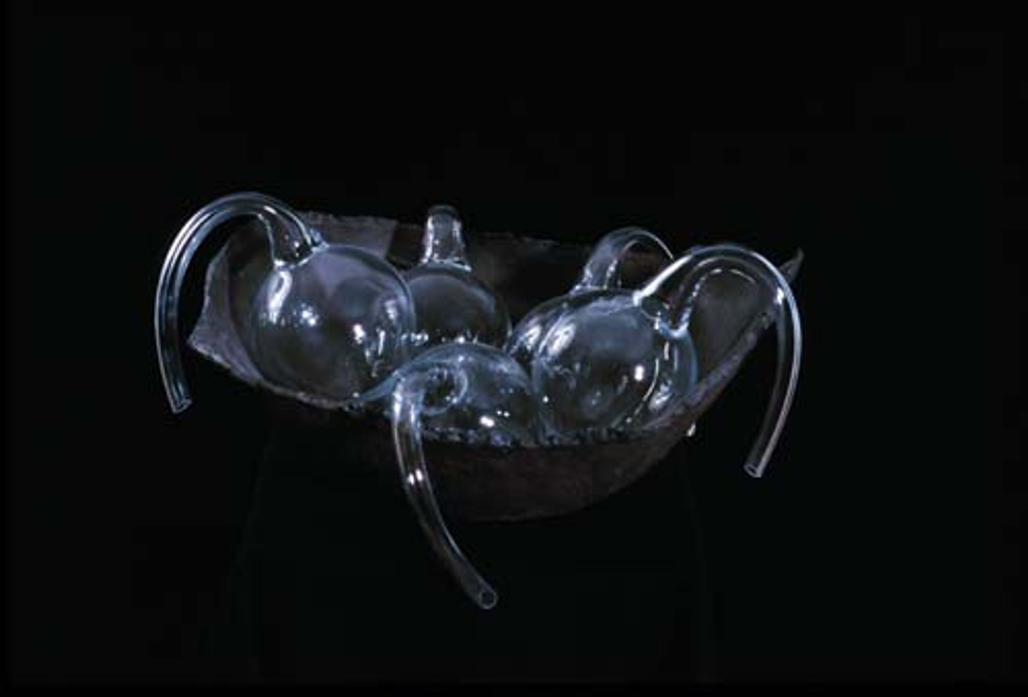 Blown Glass 1995-2010