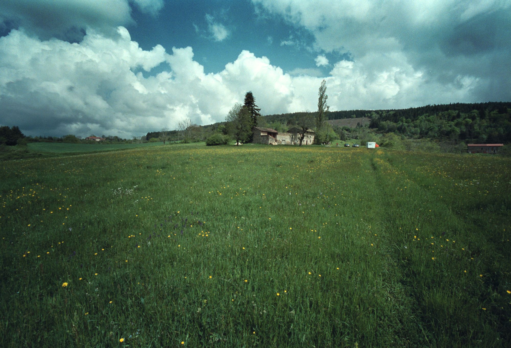 Foundation Lavalette