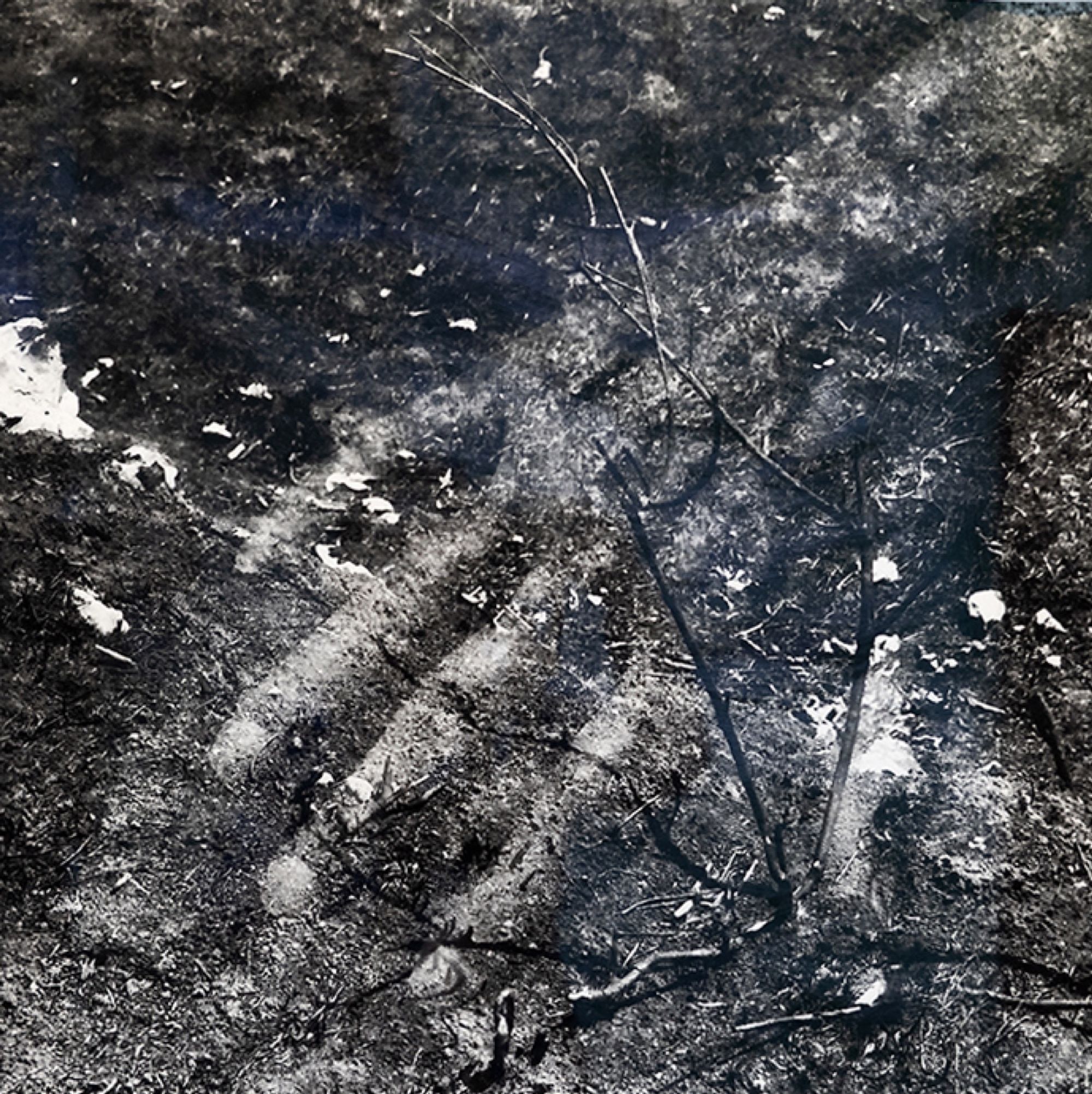 Exposed Territories