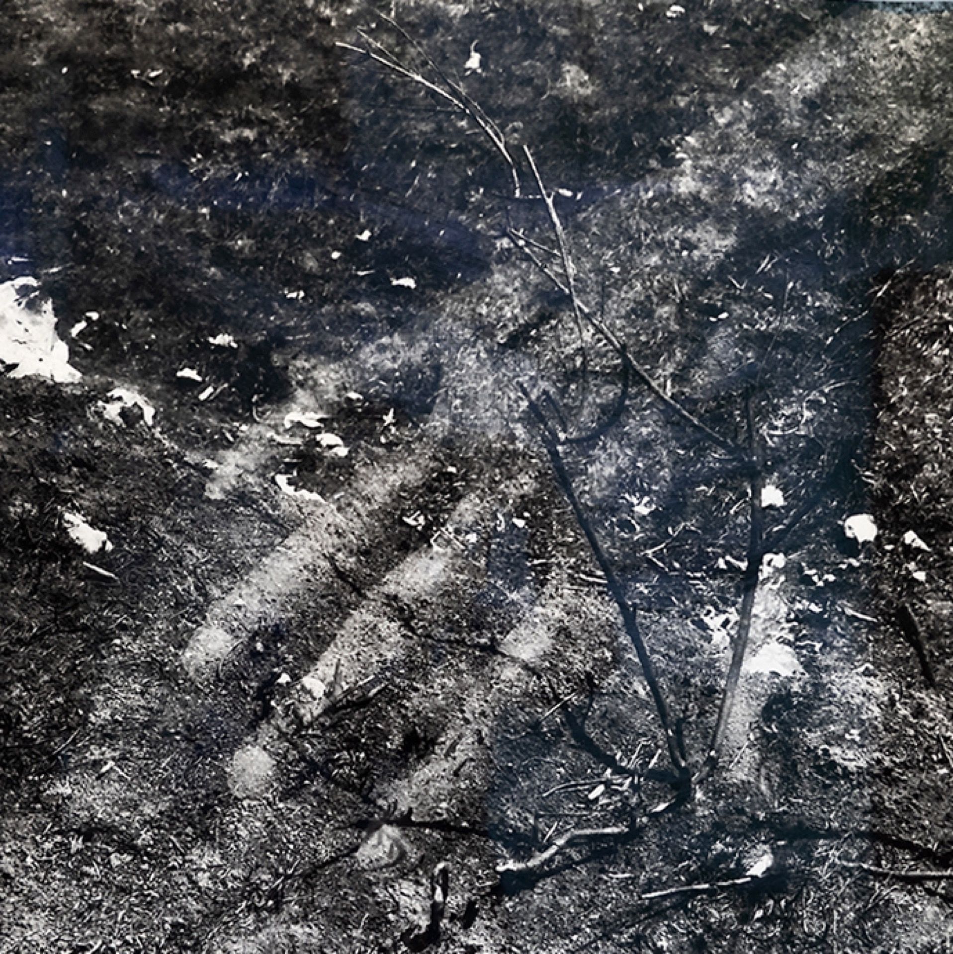 Exposed Territories