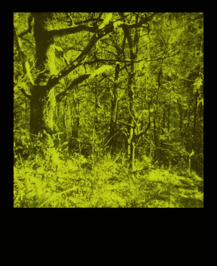 Unsettling Landscapes (Polaroid)