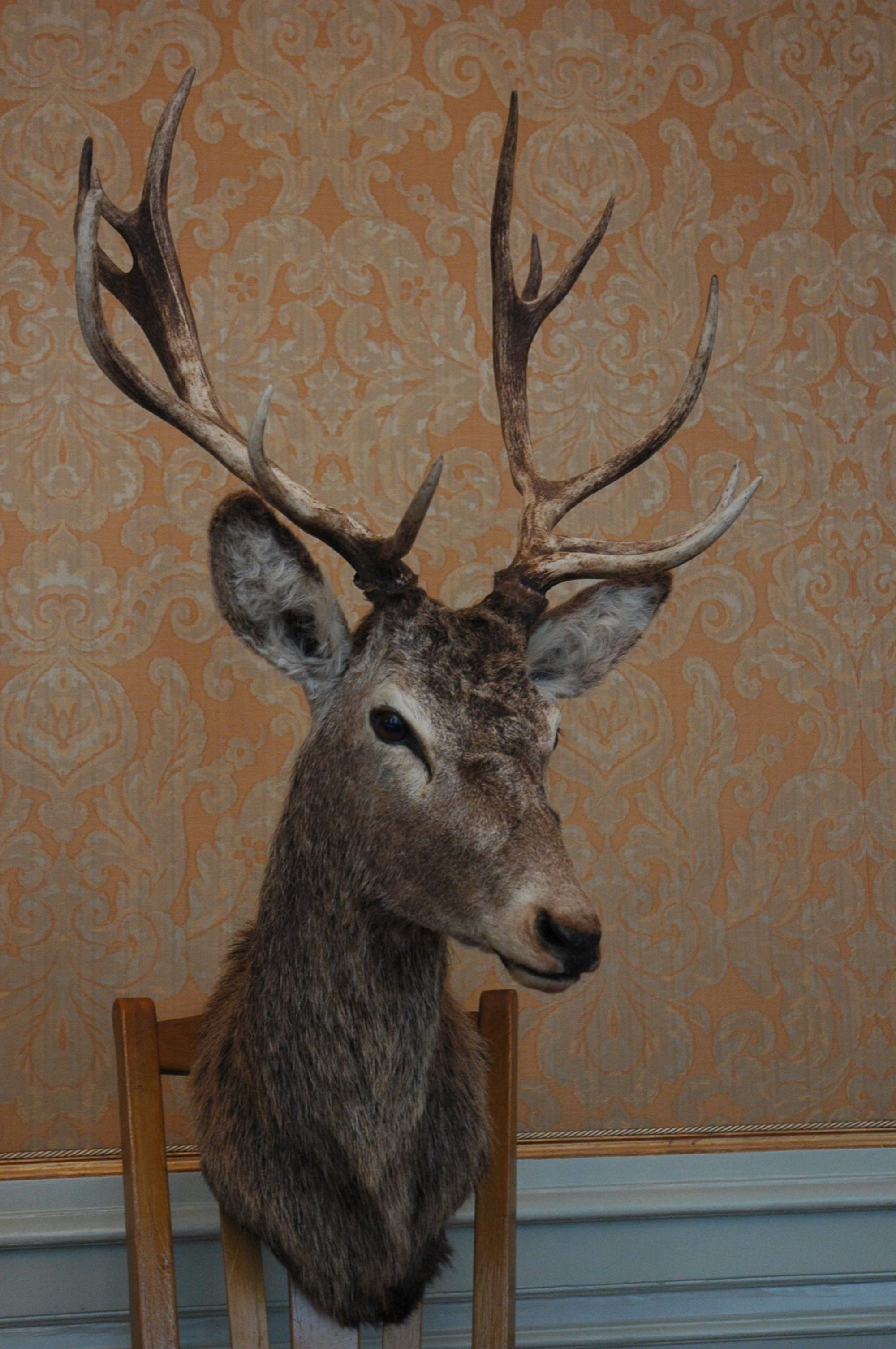 à-table