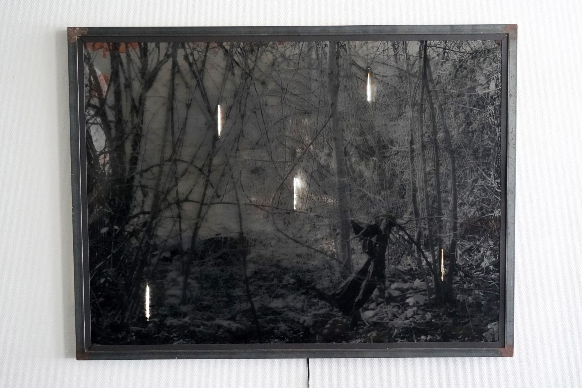 Unsettling Landscapes (Light)