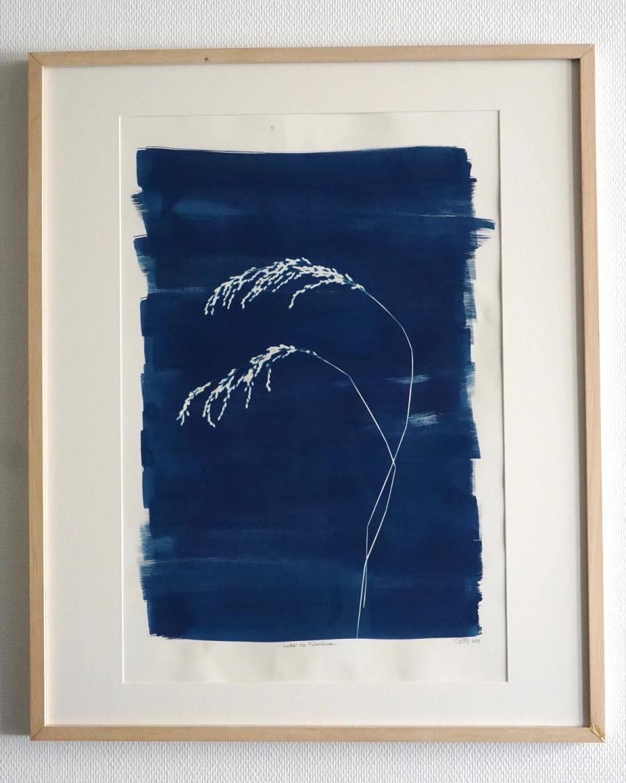 Unsettling Landscapes (Cyanotype)