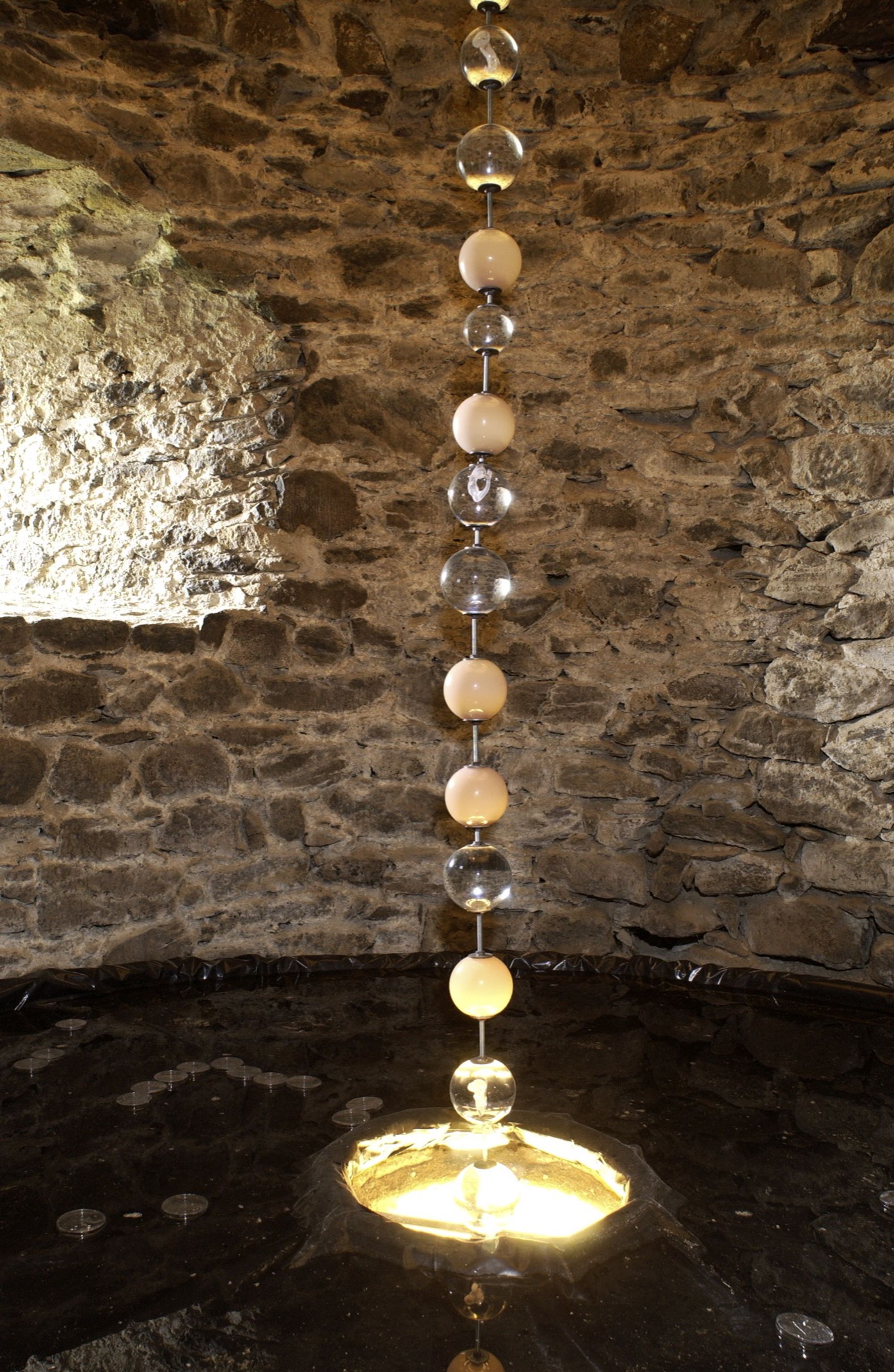 Foundation Lavalette