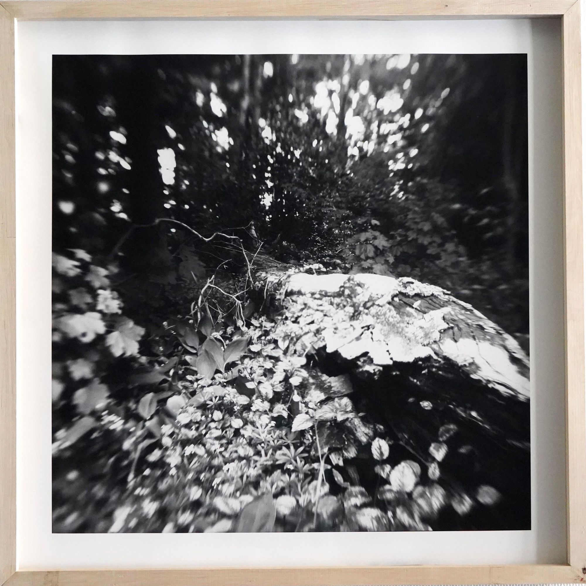 Unsettling Landscapes (Barite)