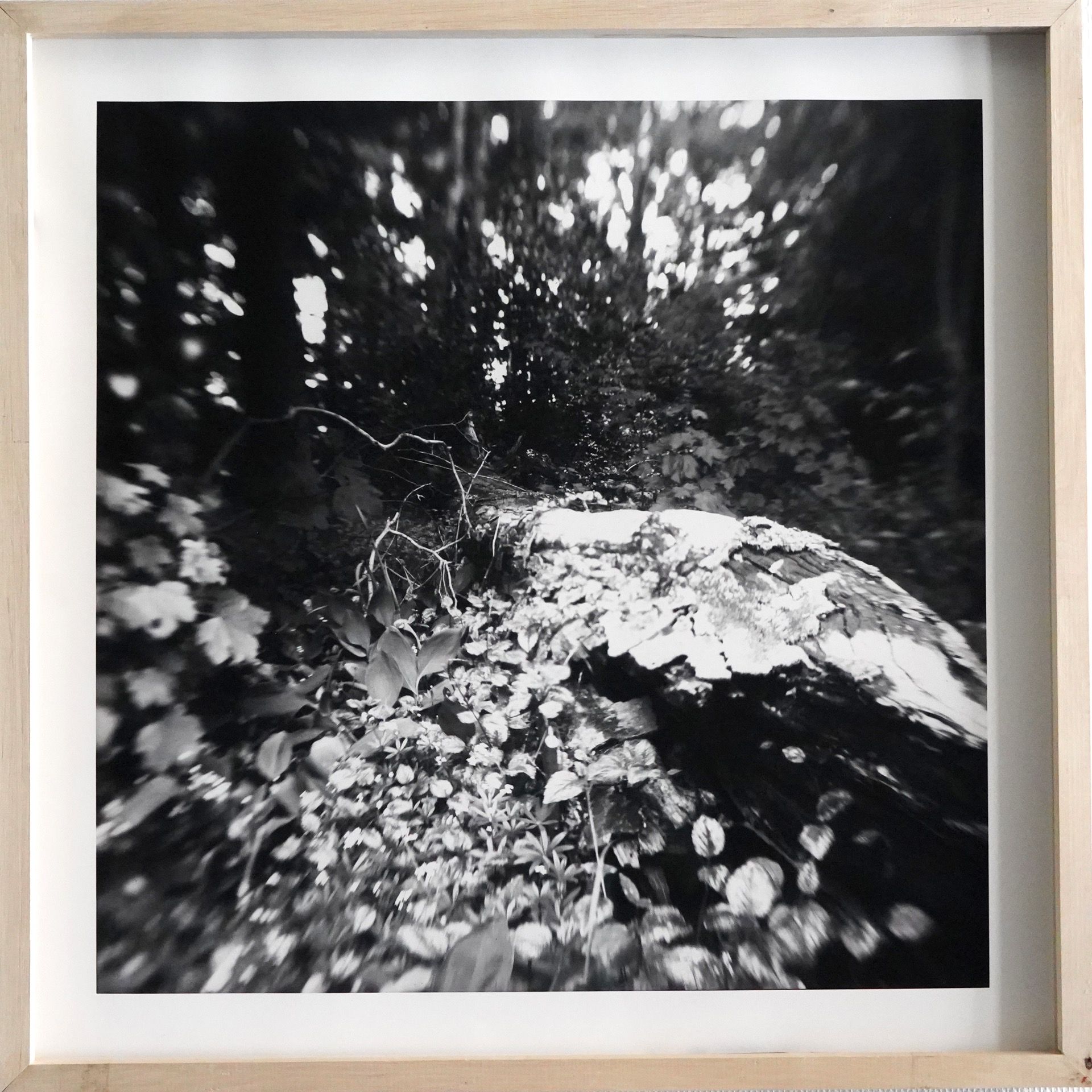Unsettling Landscapes (Barite)