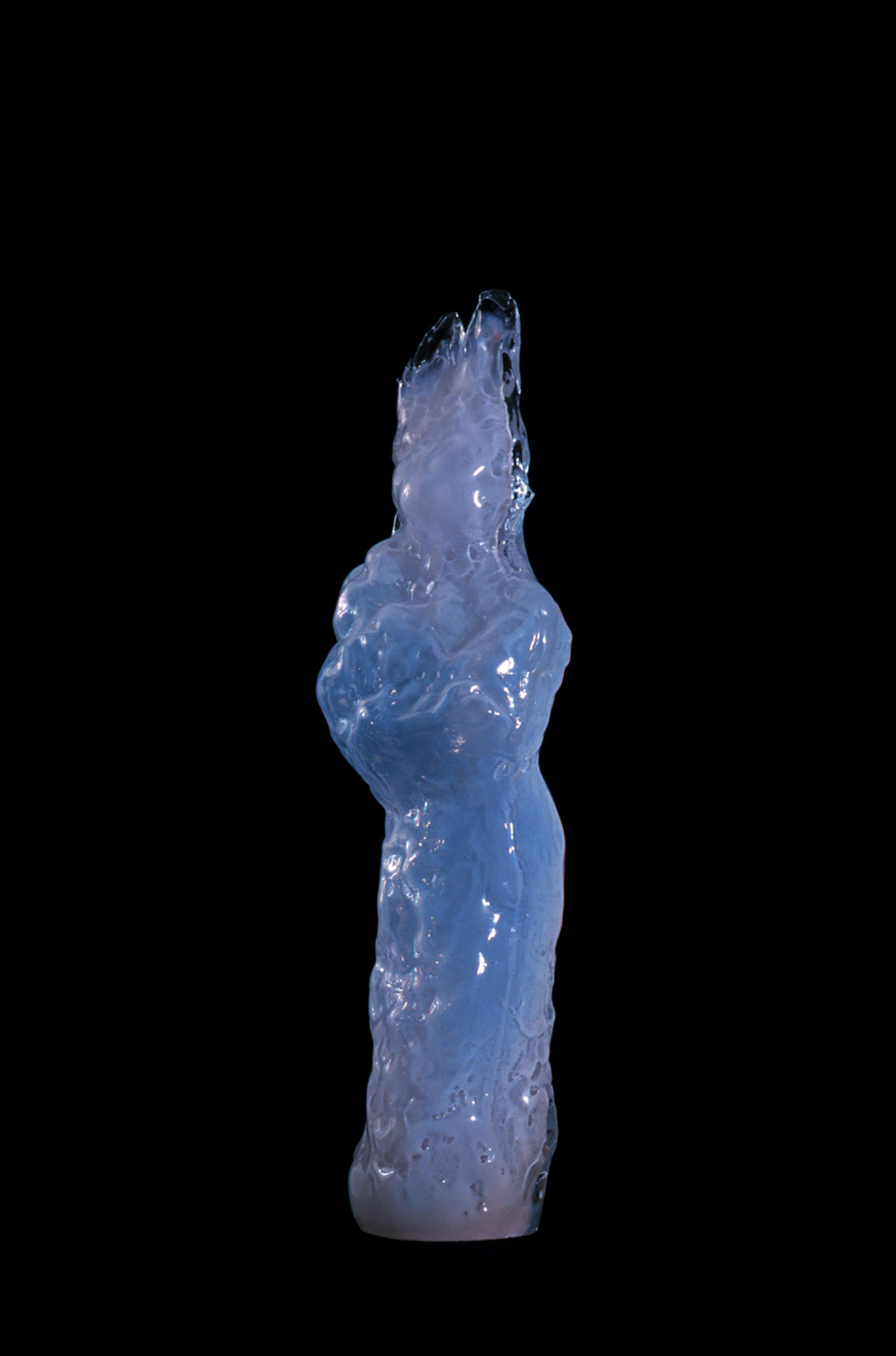 Blown Glass 1995-2010