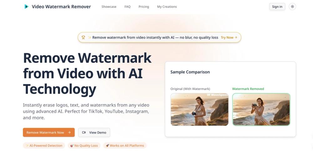 image of  AI Video Watermark Remover