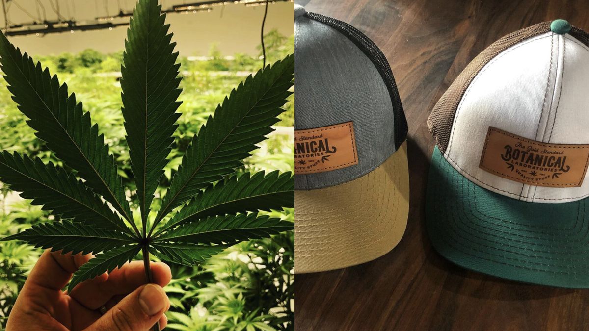 botanical-labs10