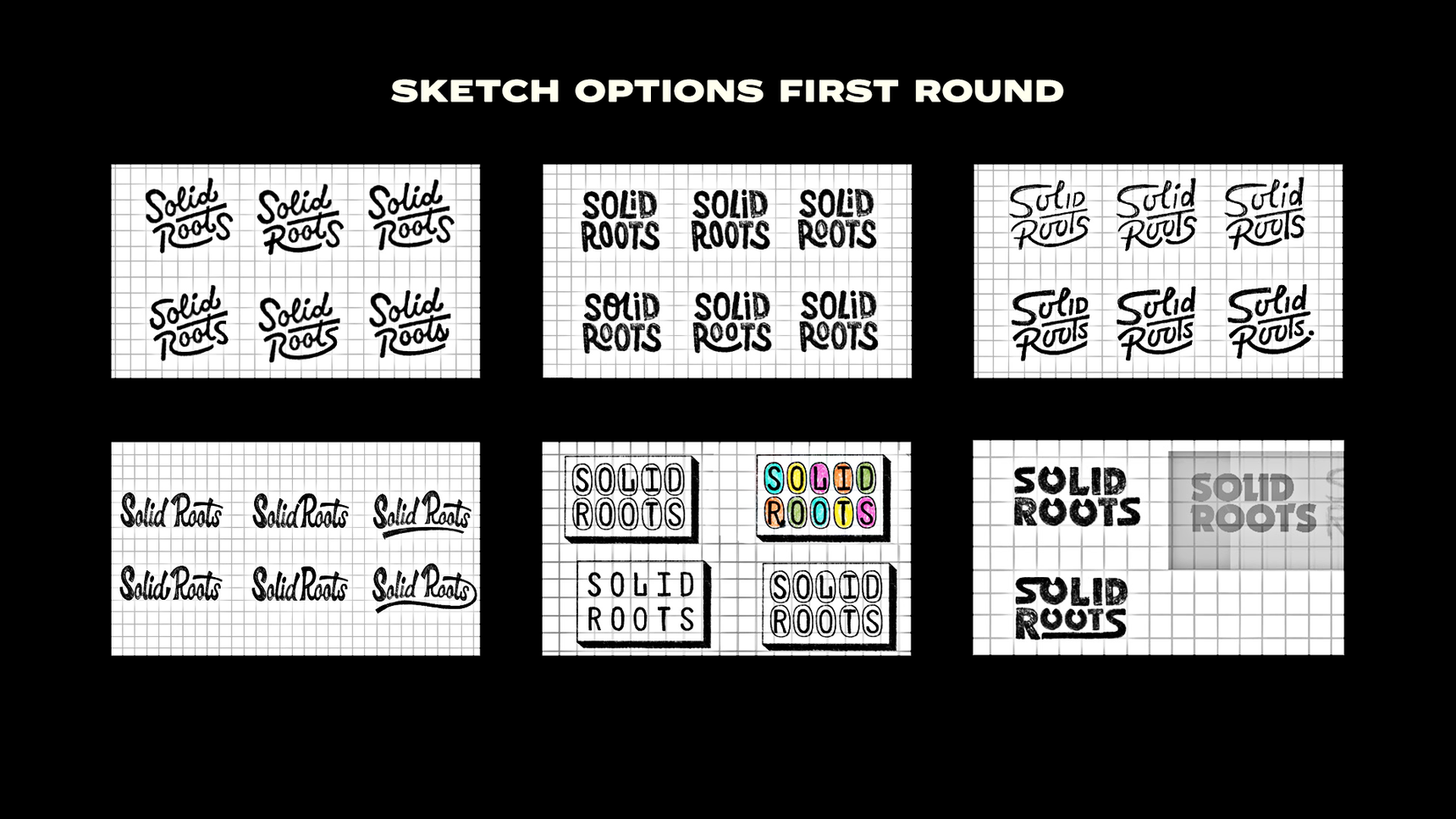 Solid Roots Branding | Brethren Design Co.