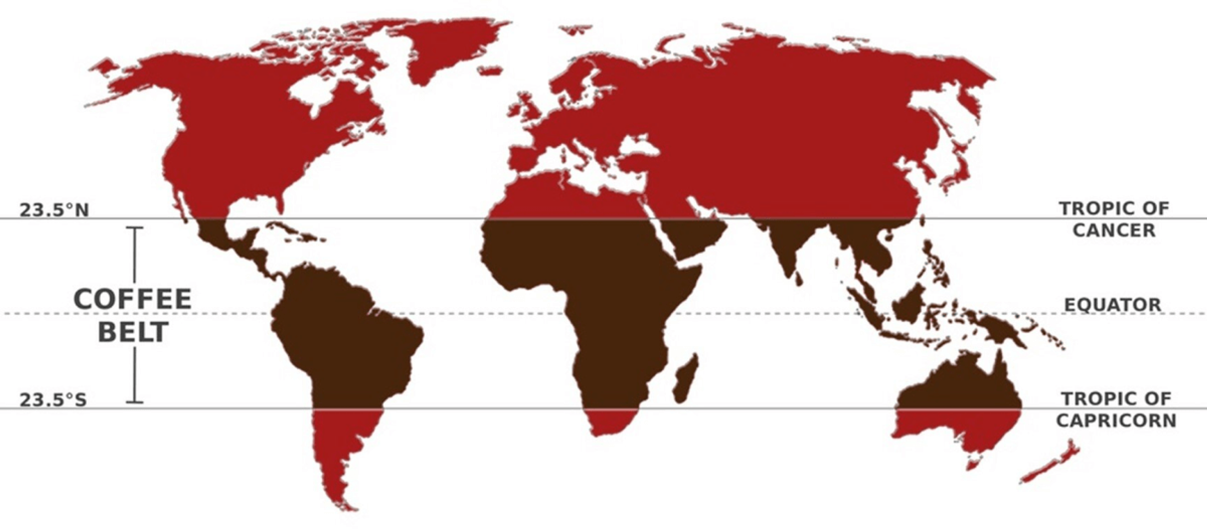 The coffee belt shows the world’s coffee growing regions (source: Operant Coffee)