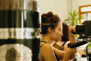 Cafelix Coffee Roasters