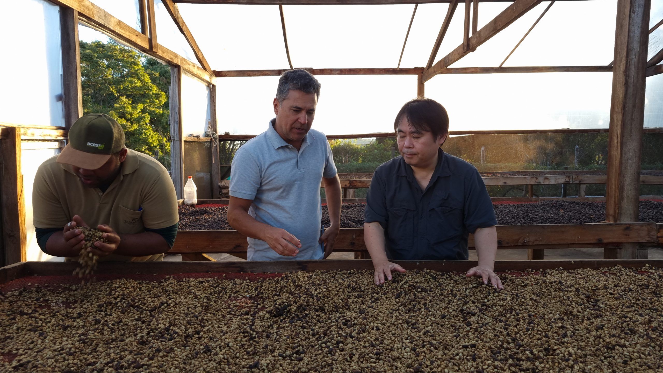 MARUYAMA COFFEE | 丸山珈琲 