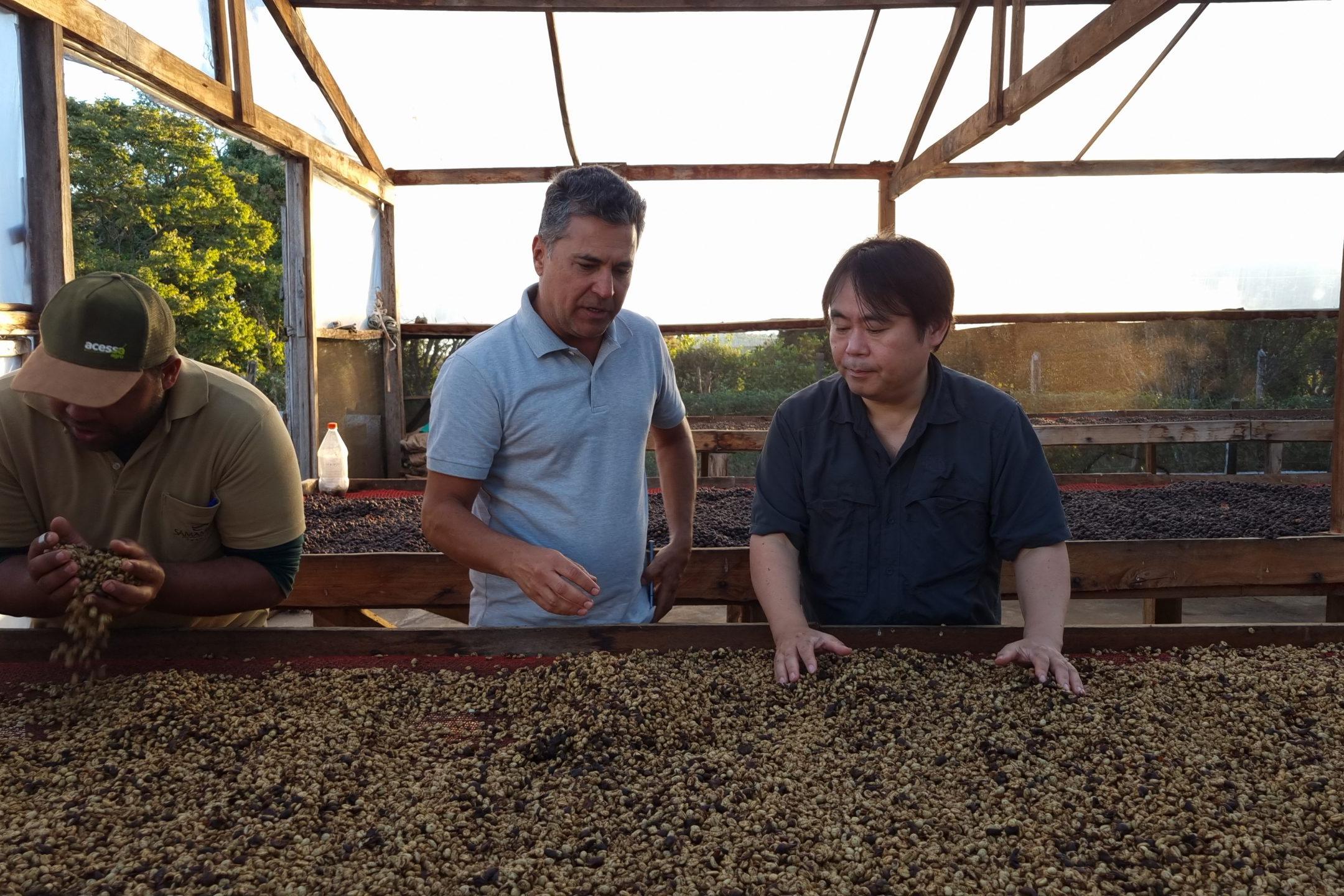 MARUYAMA COFFEE | 丸山珈琲