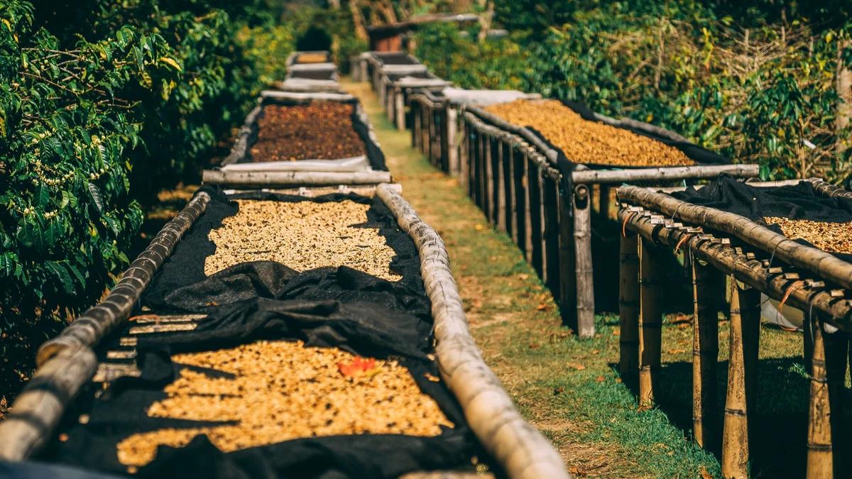 Milligram Coffee Roasters