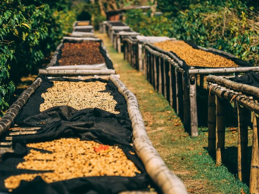 Milligram Coffee Roasters
