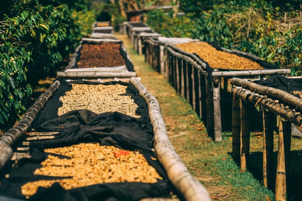 Milligram Coffee Roasters