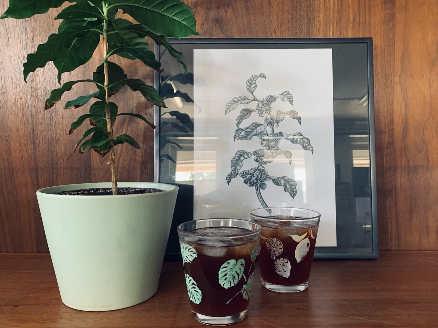 Coffea Circulor