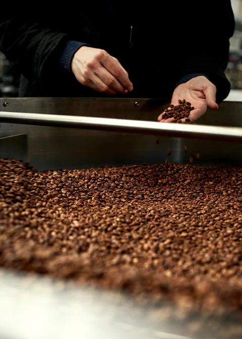MOK Coffee