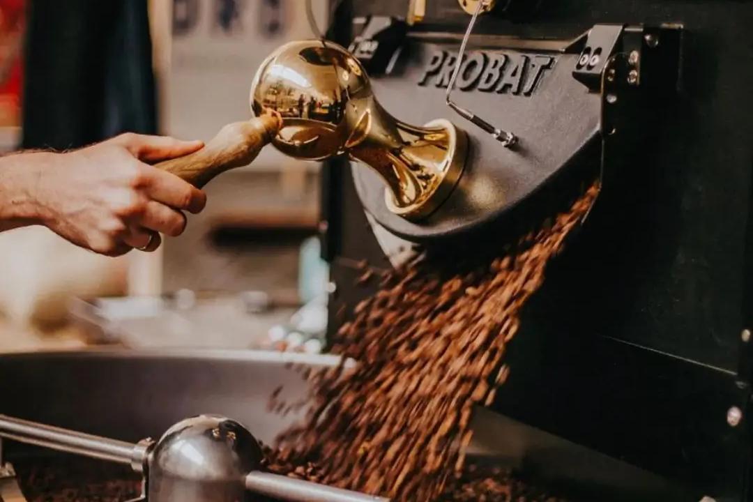 Fjord Coffee Roasters