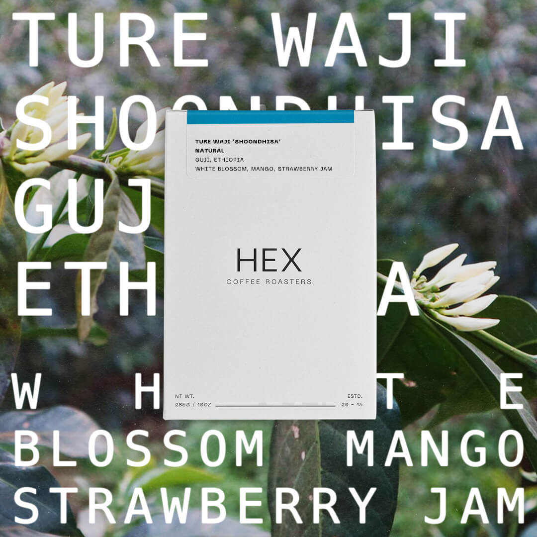 Hex Coffee Roasters