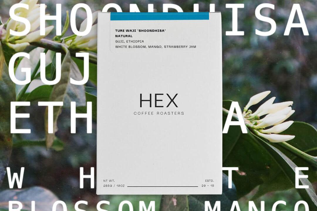 Hex Coffee Roasters