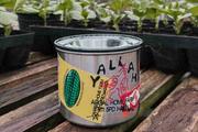 Yallah Coffee Roasters