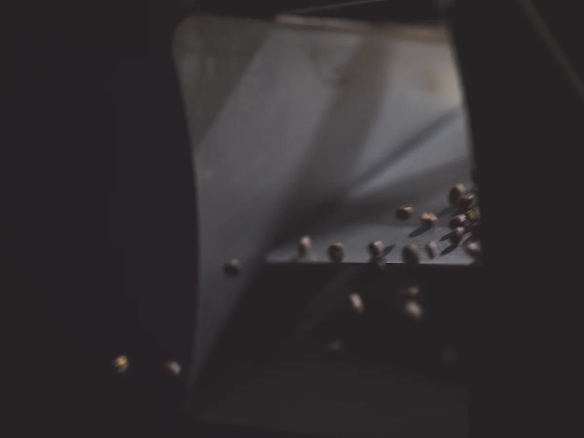 Gust Specialty Coffee Roasters