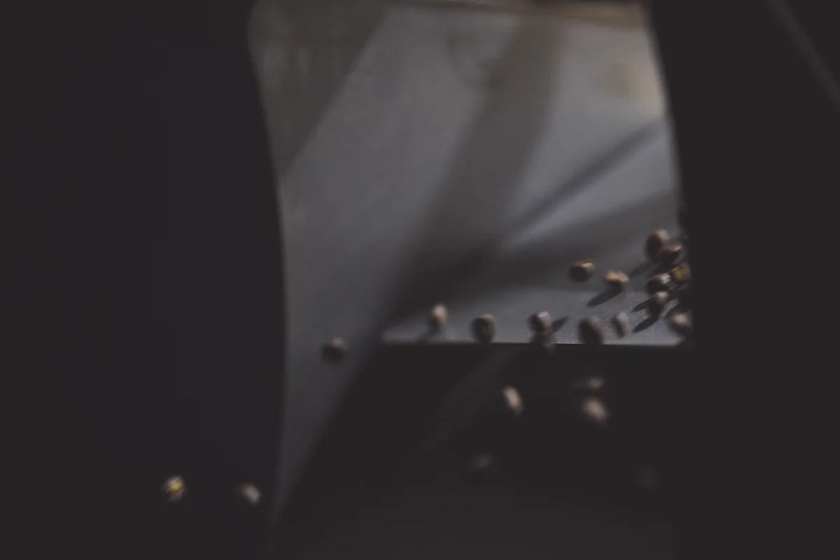 Gust Specialty Coffee Roasters