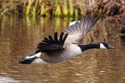 In Flight​​​​‌﻿‍﻿​‍​‍‌‍﻿﻿‌﻿​‍‌‍‍‌‌‍‌﻿‌‍‍‌‌‍﻿‍​‍​‍​﻿‍‍​‍​‍‌﻿​﻿‌‍​‌‌‍﻿‍‌‍‍‌‌﻿‌​‌﻿‍‌​‍﻿‍‌‍‍‌‌‍﻿﻿​‍​‍​‍﻿​​‍​‍‌‍‍​‌﻿​‍‌‍‌‌‌‍‌‍​‍​‍​﻿‍‍​‍​‍​‍﻿﻿‌‍​‌‌‍‌​‌‍﻿‌‌‍‍‌‌‍﻿‍​‍﻿﻿‌‍‍‌‌‍﻿‍‌﻿‌​‌‍‌‌‌‍﻿‍‌﻿‌​​‍﻿﻿‌‍‌‌‌‍‌​‌‍‍‌‌﻿‌​​‍﻿﻿‌‍﻿‌‌‍﻿﻿‌‍‌​‌‍‌‌​﻿﻿‌‌﻿​​‌﻿​‍‌‍‌‌‌﻿​﻿‌‍‌‌‌‍﻿‍‌﻿‌​‌‍​‌‌﻿‌​‌‍‍‌‌‍﻿﻿‌‍﻿‍​﻿‍﻿‌‍‍‌‌‍‌​​﻿﻿‌​﻿‌‌‌‍​‍‌‍​﻿‌‍​‍​﻿​‍​﻿‍​​﻿‌﻿‌‍​﻿​‍﻿‌‌‍‌​​﻿​‍​﻿‌​​﻿‌​​‍﻿‌​﻿‌​​﻿‌​‌‍‌‍​﻿‍‌​‍﻿‌​﻿‍​​﻿​‌‌‍‌​​﻿‌﻿​‍﻿‌​﻿‌‍‌‍​‍​﻿‌​‌‍​‌‌‍‌‍​﻿​﻿​﻿​﻿‌‍‌​​﻿​‍‌‍‌‍​﻿​‍‌‍​‍​﻿‍﻿‌﻿‌​‌﻿‍‌‌﻿​​‌‍‌‌​﻿﻿‌‌‍​‍‌‍‍‌‌﻿​‍‌‍‌​‌﻿​﻿‌​‌﻿‌‍​‌‌‍﻿​‌‍﻿​‌‍‌‌‌﻿​‍‌﻿‍‌​﻿‍﻿‌﻿​​‌‍​‌‌﻿‌​‌‍‍​​﻿﻿‌‌‍‌﻿‌‍​‌‌‍﻿​‌‍﻿​‌‍‌‌‌﻿​‍‌﻿‍‌‌​‍‌‌‍﻿‌‌‍​‌‌‍‌﻿‌‍‌‌‌﻿​﻿​‍‌‌​﻿‌‌‌​​‍‌‌﻿﻿‌‍‍﻿‌‍‌‌‌﻿‍‌​‍‌‌​﻿​﻿‌​‌​​‍‌‌​﻿​﻿‌​‌​​‍‌‌​﻿​‍​﻿​‍‌‍​‌​﻿‌‍​﻿‌‌‌‍​‌​﻿​​‌‍​﻿​﻿​‍‌‍​‍​﻿‌​​﻿​‍​﻿​﻿​﻿‌‌​‍‌‌​﻿​‍​﻿​‍​‍‌‌​﻿‌‌‌​‌​​‍﻿‍‌‍​‌‌‍﻿​‌﻿‌​​﻿﻿﻿‌‍​‍‌‍​‌‌﻿​﻿‌‍‌‌‌‌‌‌‌﻿​‍‌‍﻿​​﻿﻿‌​‍‌‌​﻿​‍‌​‌‍‌‍​‌‌‍‌​‌‍﻿‌‌‍‍‌‌‍﻿‍​‍‌‍‌‍‍‌‌‍‌​​﻿﻿‌​﻿‌‌‌‍​‍‌‍​﻿‌‍​‍​﻿​‍​﻿‍​​﻿‌﻿‌‍​﻿​‍﻿‌‌‍‌​​﻿​‍​﻿‌​​﻿‌​​‍﻿‌​﻿‌​​﻿‌​‌‍‌‍​﻿‍‌​‍﻿‌​﻿‍​​﻿​‌‌‍‌​​﻿‌﻿​‍﻿‌​﻿‌‍‌‍​‍​﻿‌​‌‍​‌‌‍‌‍​﻿​﻿​﻿​﻿‌‍‌​​﻿​‍‌‍‌‍​﻿​‍‌‍​‍​‍‌‍‌﻿‌​‌﻿‍‌‌﻿​​‌‍‌‌​﻿﻿‌‌‍​‍‌‍‍‌‌﻿​‍‌‍‌​‌﻿​﻿‌​‌﻿‌‍​‌‌‍﻿​‌‍﻿​‌‍‌‌‌﻿​‍‌﻿‍‌​‍‌‍‌﻿​​‌‍​‌‌﻿‌​‌‍‍​​﻿﻿‌‌‍‌﻿‌‍​‌‌‍﻿​‌‍﻿​‌‍‌‌‌﻿​‍‌﻿‍‌‌​‍‌‌‍﻿‌‌‍​‌‌‍‌﻿‌‍‌‌‌﻿​﻿​‍‌‌​﻿‌‌‌​​‍‌‌﻿﻿‌‍‍﻿‌‍‌‌‌﻿‍‌​‍‌‌​﻿​﻿‌​‌​​‍‌‌​﻿​﻿‌​‌​​‍‌‌​﻿​‍​﻿​‍‌‍​‌​﻿‌‍​﻿‌‌‌‍​‌​﻿​​‌‍​﻿​﻿​‍‌‍​‍​﻿‌​​﻿​‍​﻿​﻿​﻿‌‌​‍‌‌​﻿​‍​﻿​‍​‍‌‌​﻿‌‌‌​‌​​‍﻿‍‌‍​‌‌‍﻿​‌﻿‌​​‍‌‍‌﻿​​‌‍‌‌‌﻿​‍‌﻿​﻿‌﻿​​‌‍‌‌‌‍​﻿‌﻿‌​‌‍‍‌‌﻿‌‍‌‍‌‌​﻿﻿‌‌﻿​​‌﻿‌‌‌‍​‍‌‍﻿​‌‍‍‌‌﻿​﻿‌‍‍​‌‍‌‌‌‍‌​​‍​‍‌﻿﻿‌